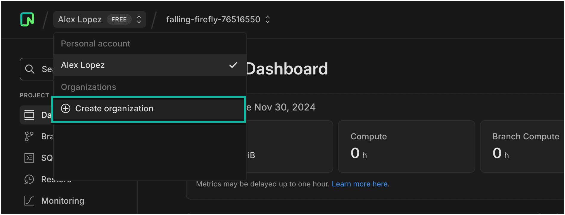 create organization button